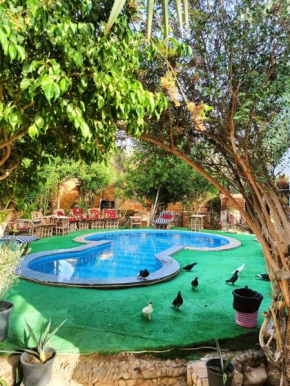 Dream Lodge Siwa دريم لودج سيوة